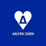 @aelfriceden.de profile picture