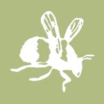 @alexmonroejewellery profile picture