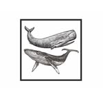 @baleinesouscachalot profile picture