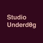 @studio.underd0g profile picture