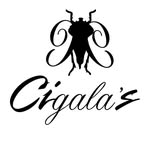 @cigala.s profile picture