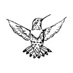 @rarebirds.de profile picture