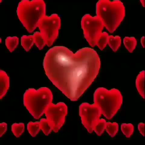 💗💗💗💗💗💗💗