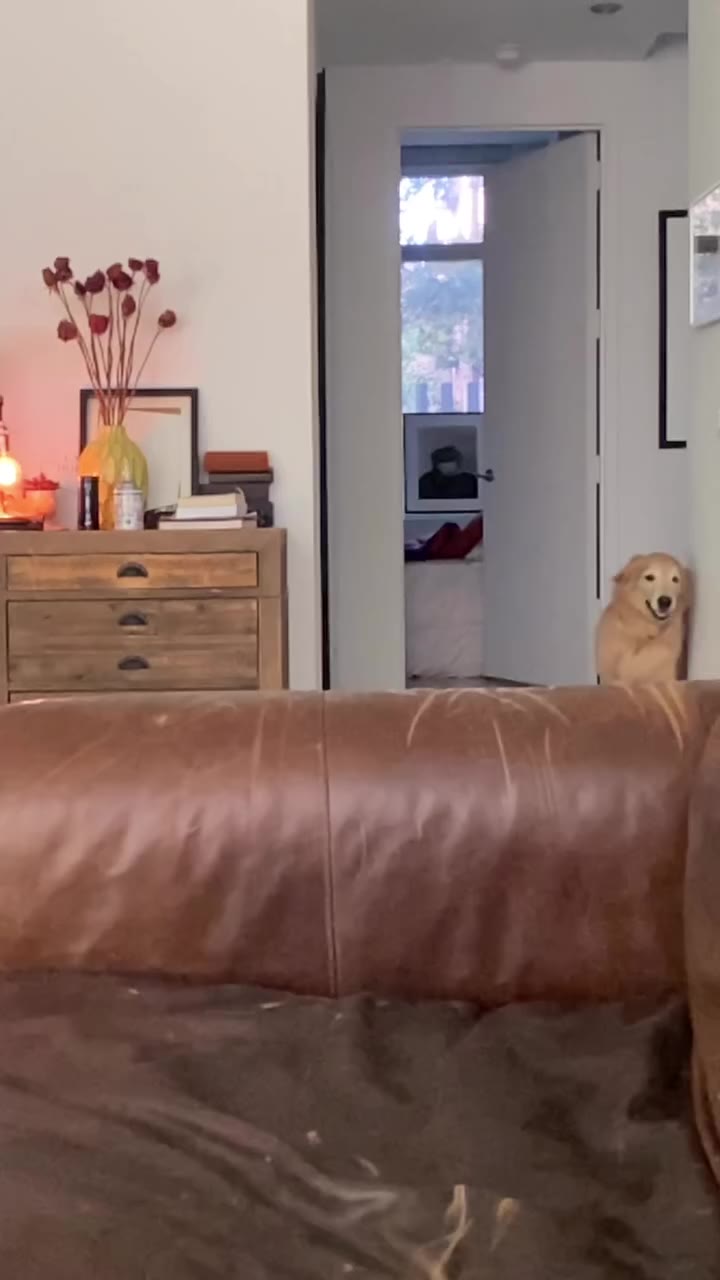 This is why we can’t have nice things