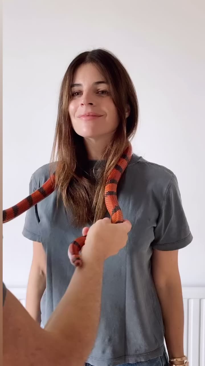 When the client brief said “Serpenti”… so I borrowed my friend’s snake and…
