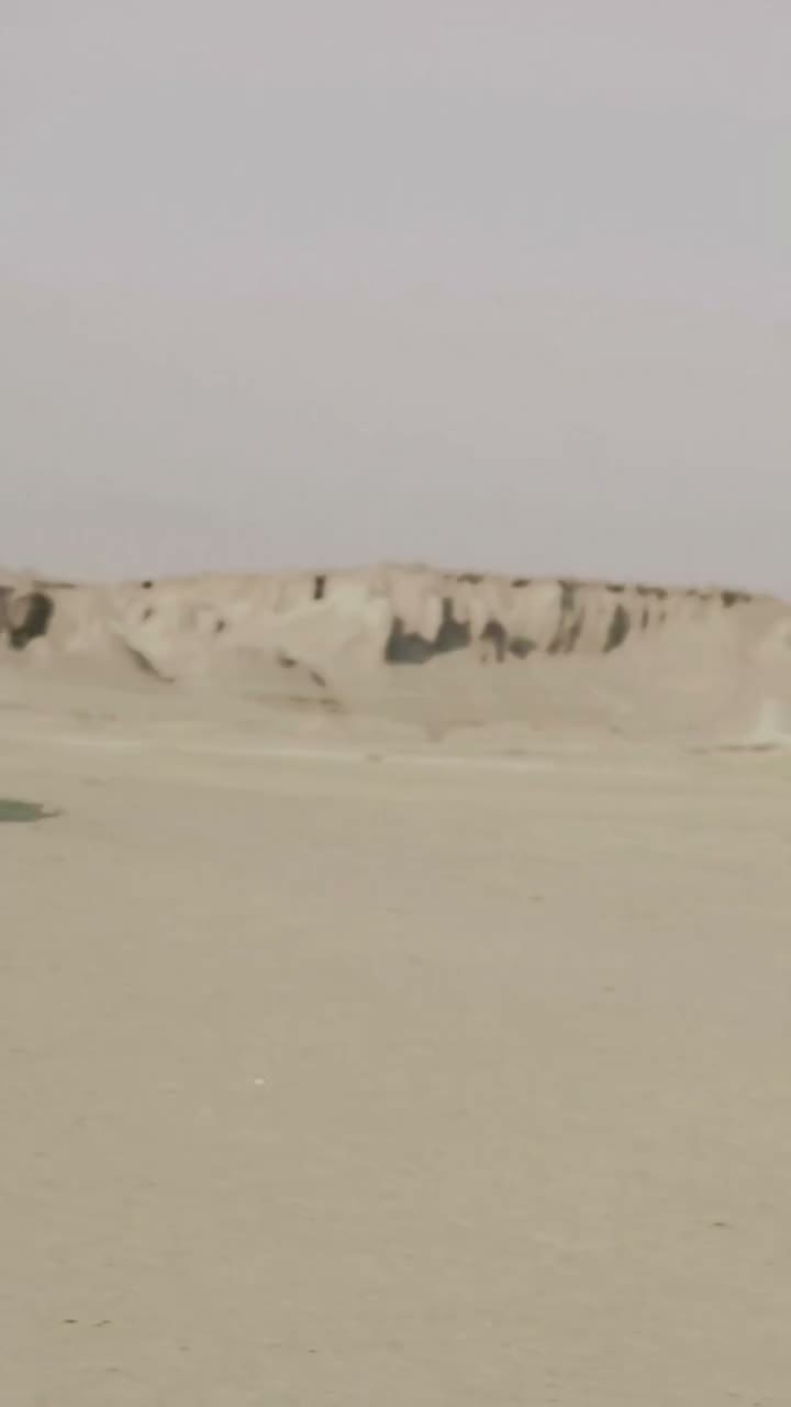 :: CARRIED BY THE DUST :: ∴ A shared vision, brought to life ∵ We landed in a…