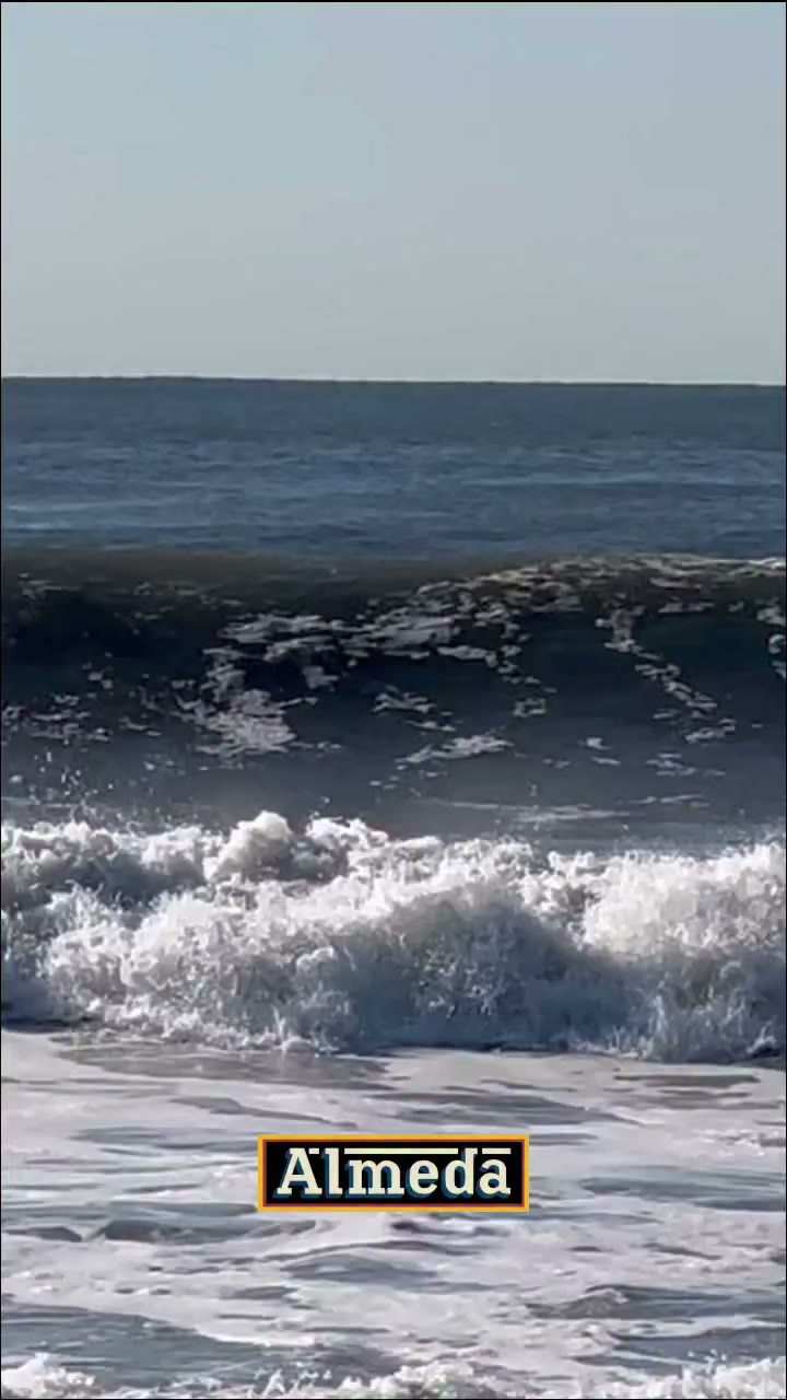 Some more born and raised Rockaway Beach Core Lord clips for you all featuring…