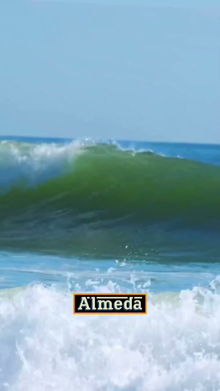 Born and Raised Rockaway Beach legend Connor McElroy @_mcelroy.c92