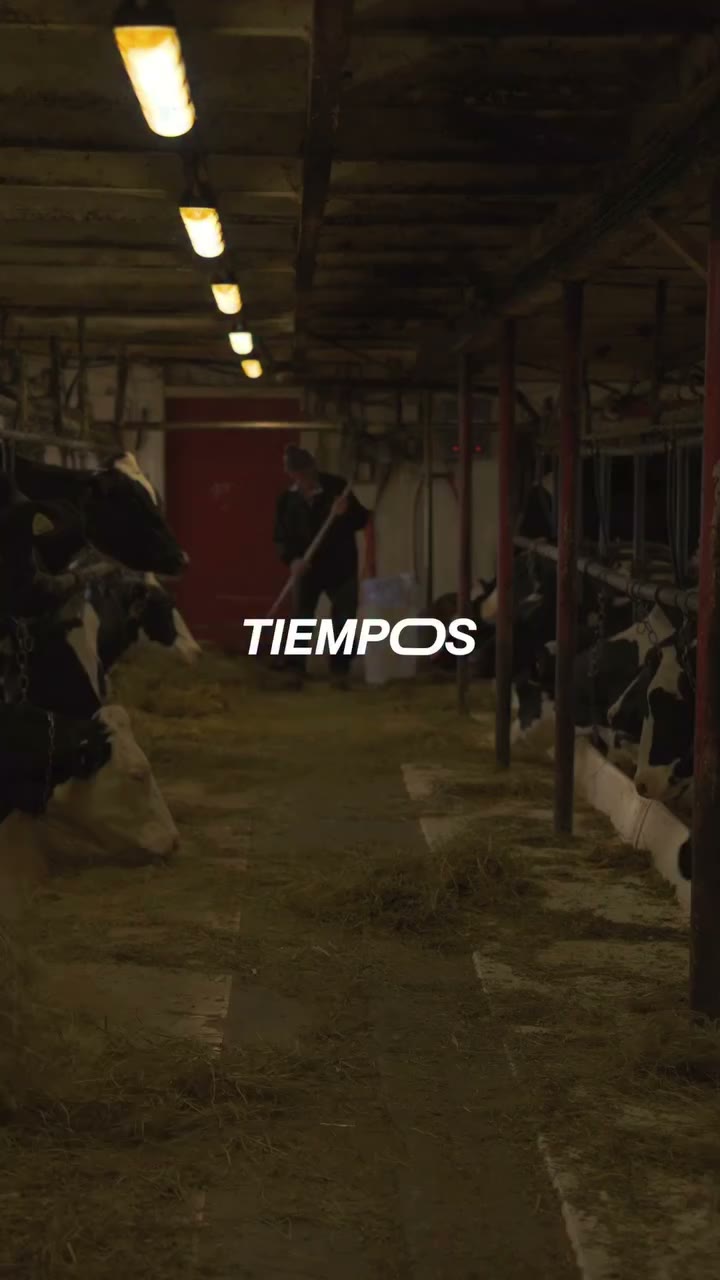 TIEMPOS™️ Presents: Gilles 🐄🐄🐄 Shot & Edit: @sarabuzzell