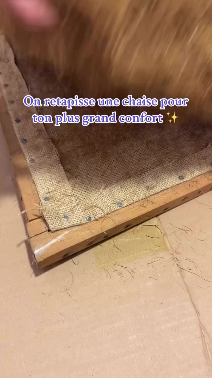 Une chaise retapissée avec précision, patience et dans les règles de l’art…