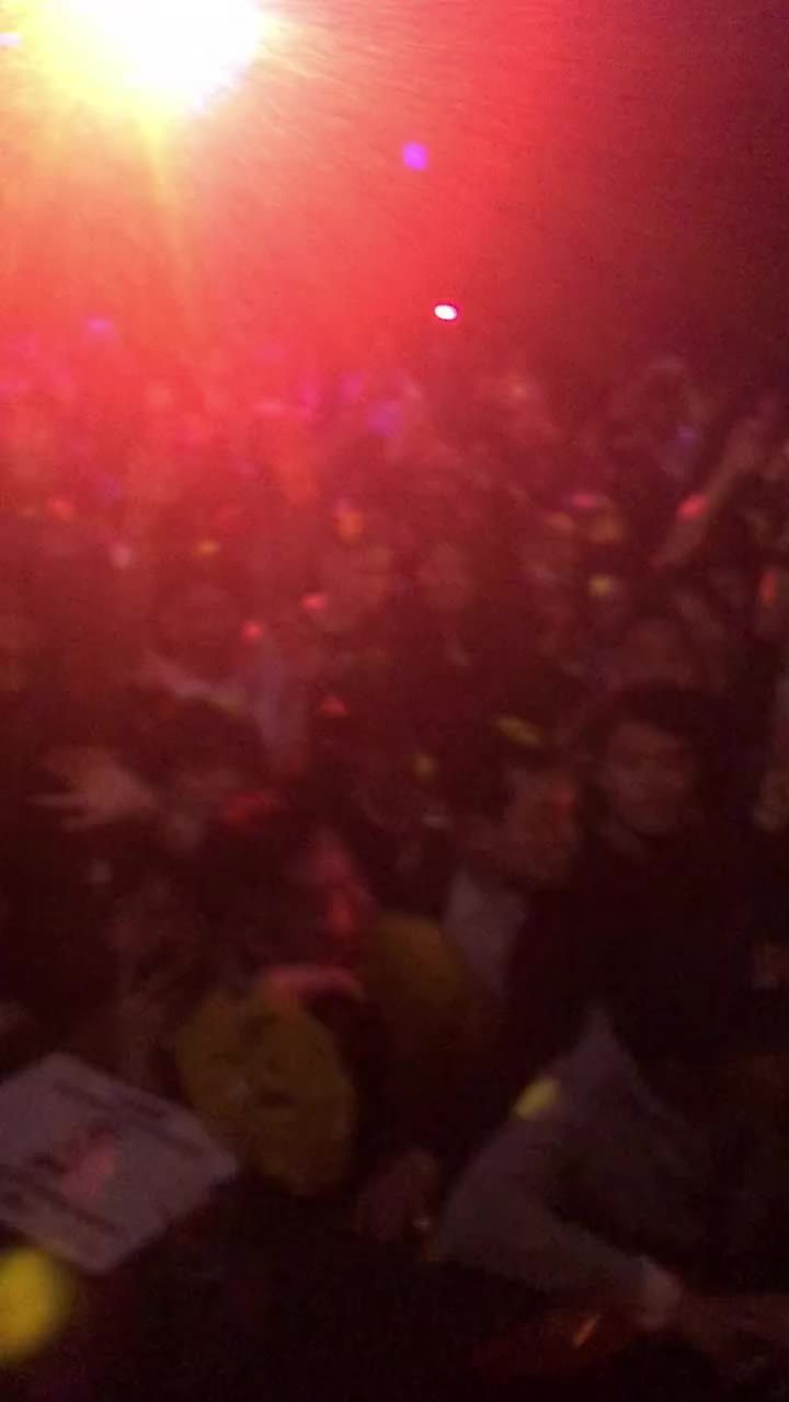 アーティストフルラインアップです。この動画は２０１８年に渋谷VISIONでのアヴァランチーズ。それ以外にも韓国のSik K…