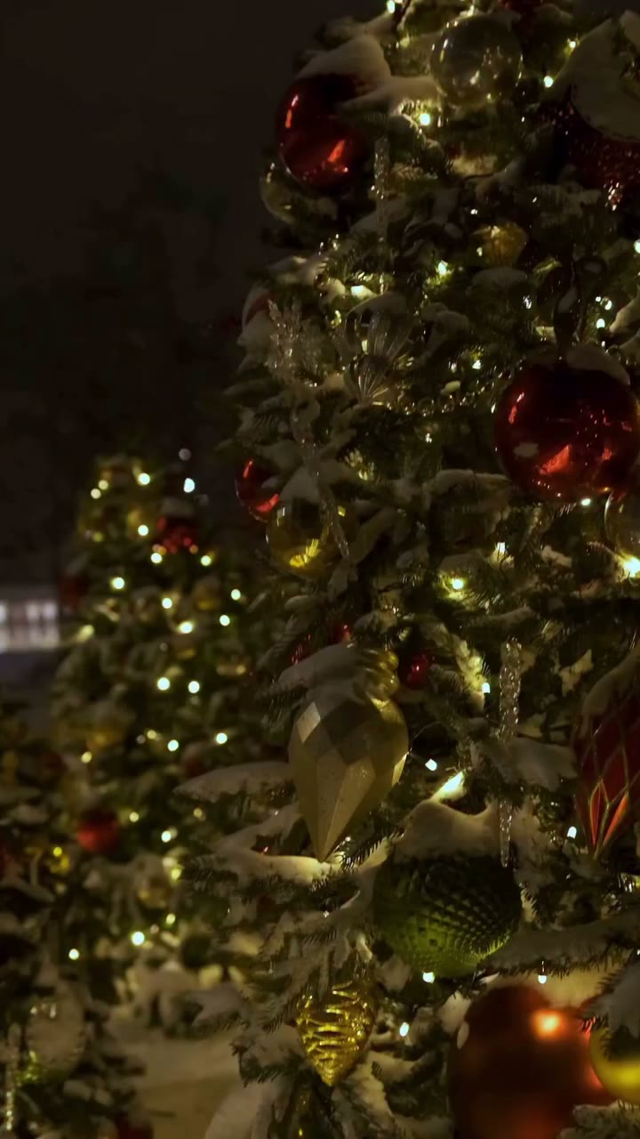 Joyeux Noël ✨🎄 Que la magie illumine vos fêtes.