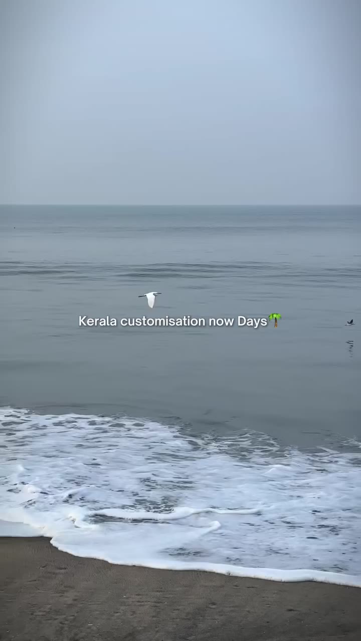 Kerala thriftstore with customisation @singlestitch.in 🌴