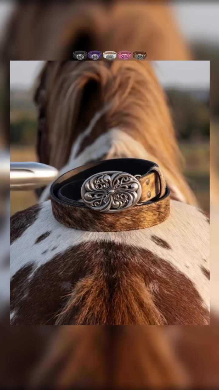 🔫No animals were harmed,DND belt 🐎 …just needed their company Pick your fav…