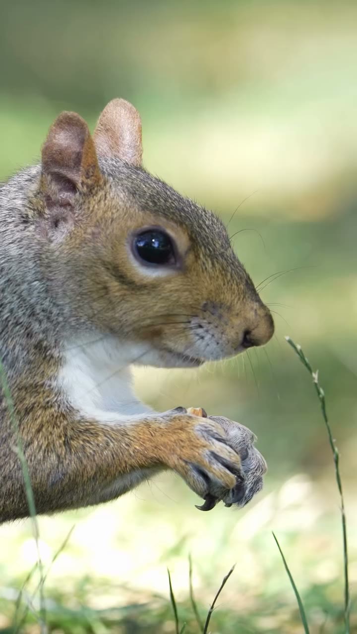 When you’re working with animal actors, be sure to bring some snacks!🥜 Check…
