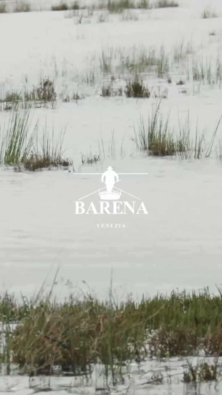Beyond the product, the people. For over twenty years, we have been growing…