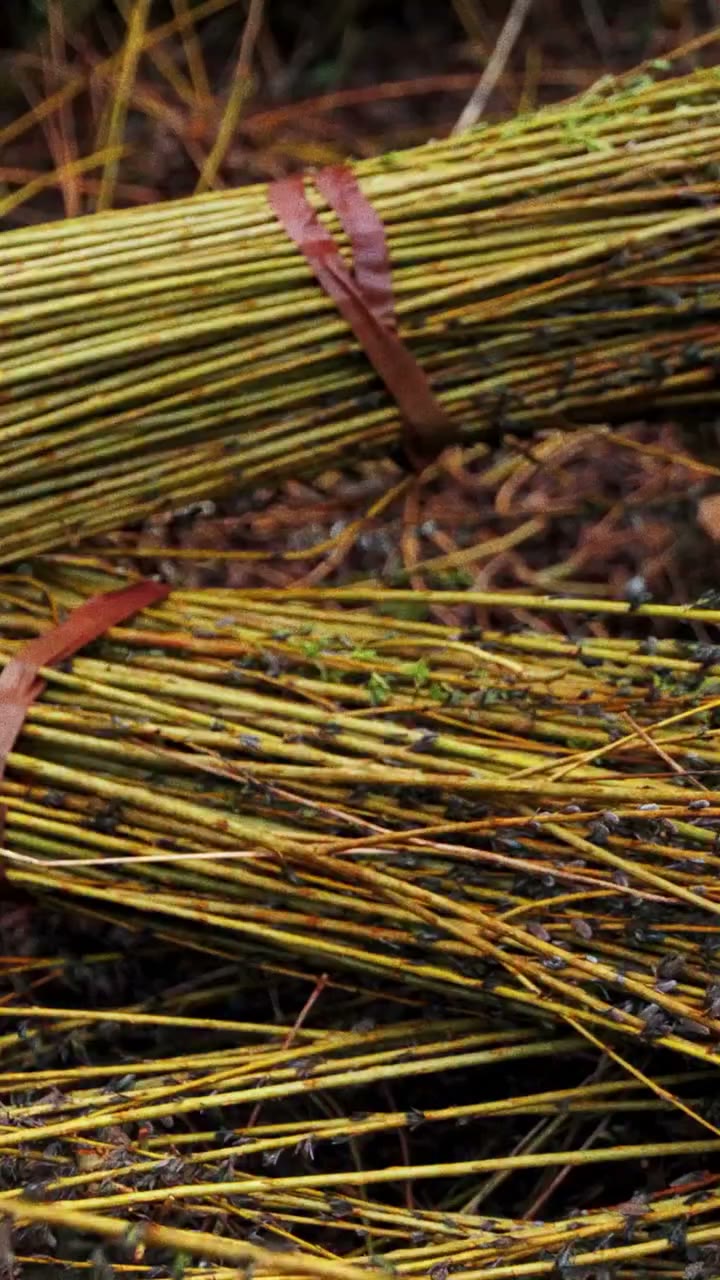 JWANDERSON presents a series of willow baskets to be introduced at Salone del…