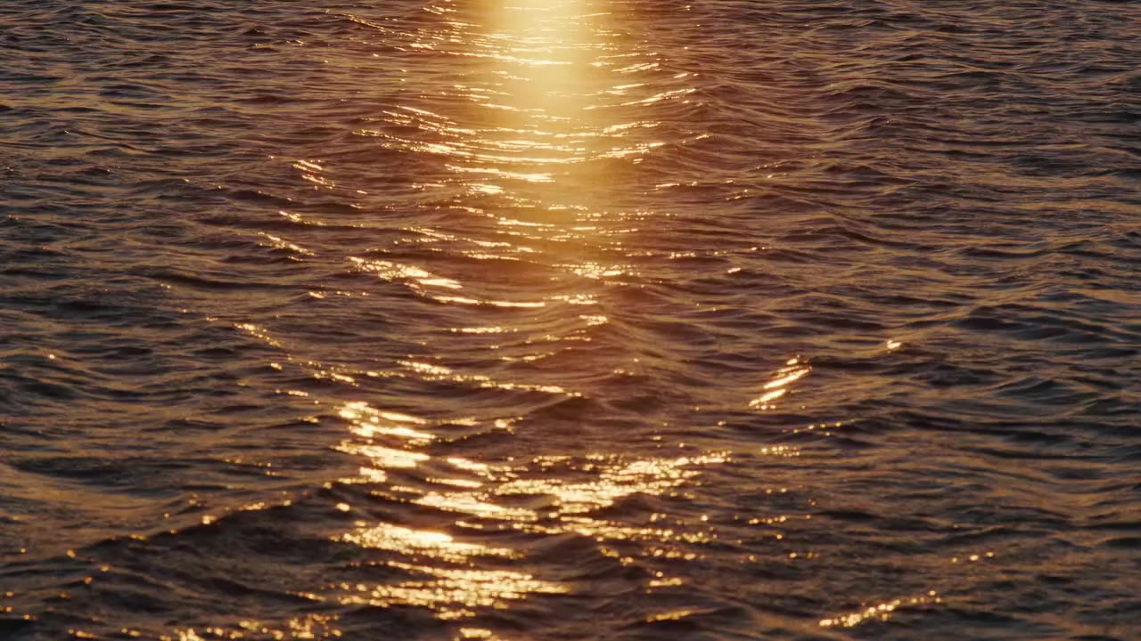 Hold Fast. Video by @tyhaft