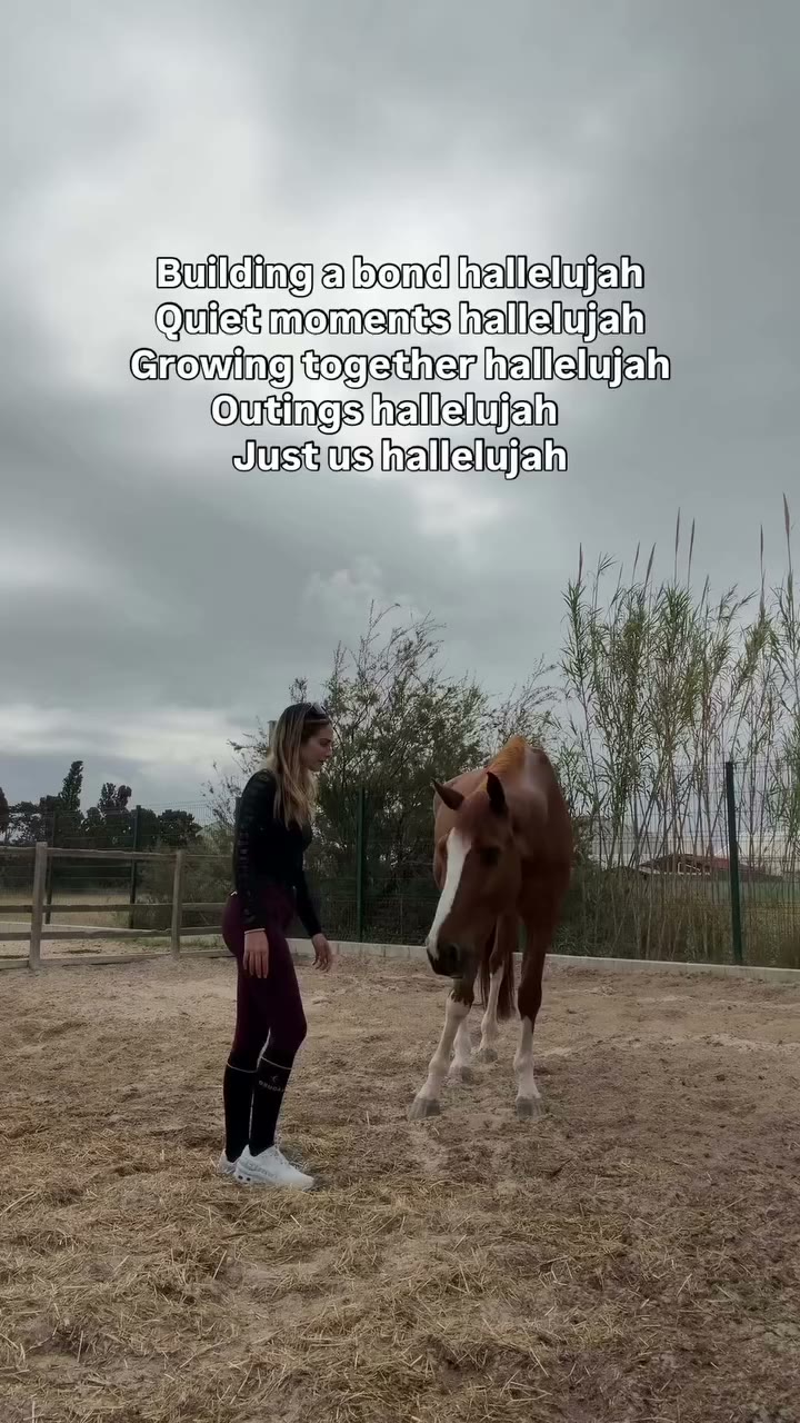 this is what it’s all about… 🦦✨ #hallelujah #justinbeiber #horses