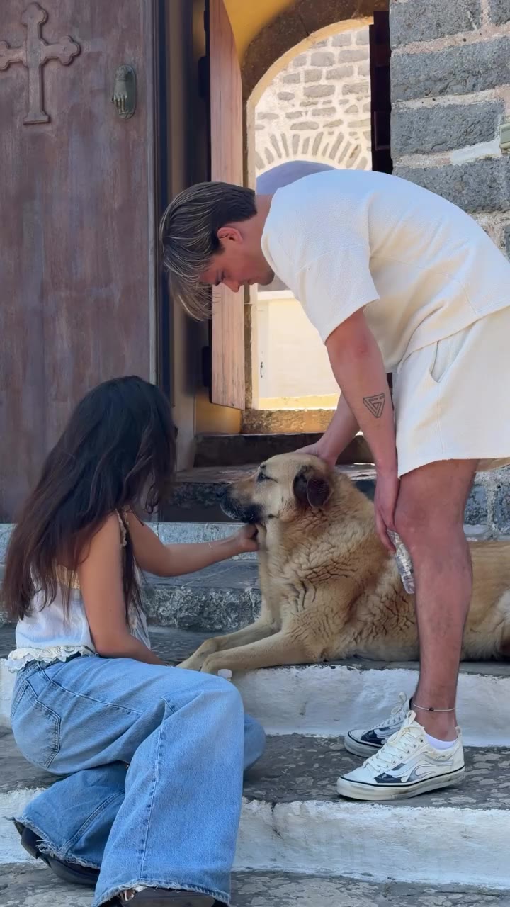 “ Can I please take him home? ”