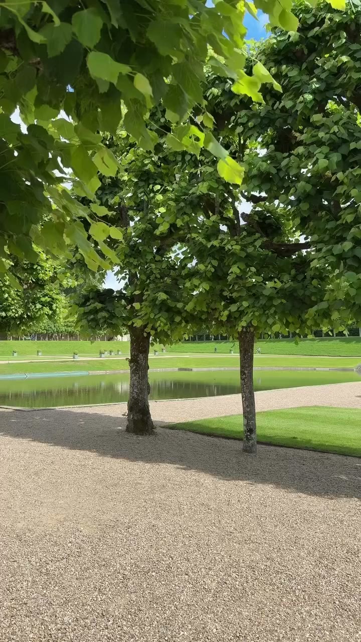 Vous cherchez une idée de sortie en famille en Touraine ? On a eu un vrai coup…