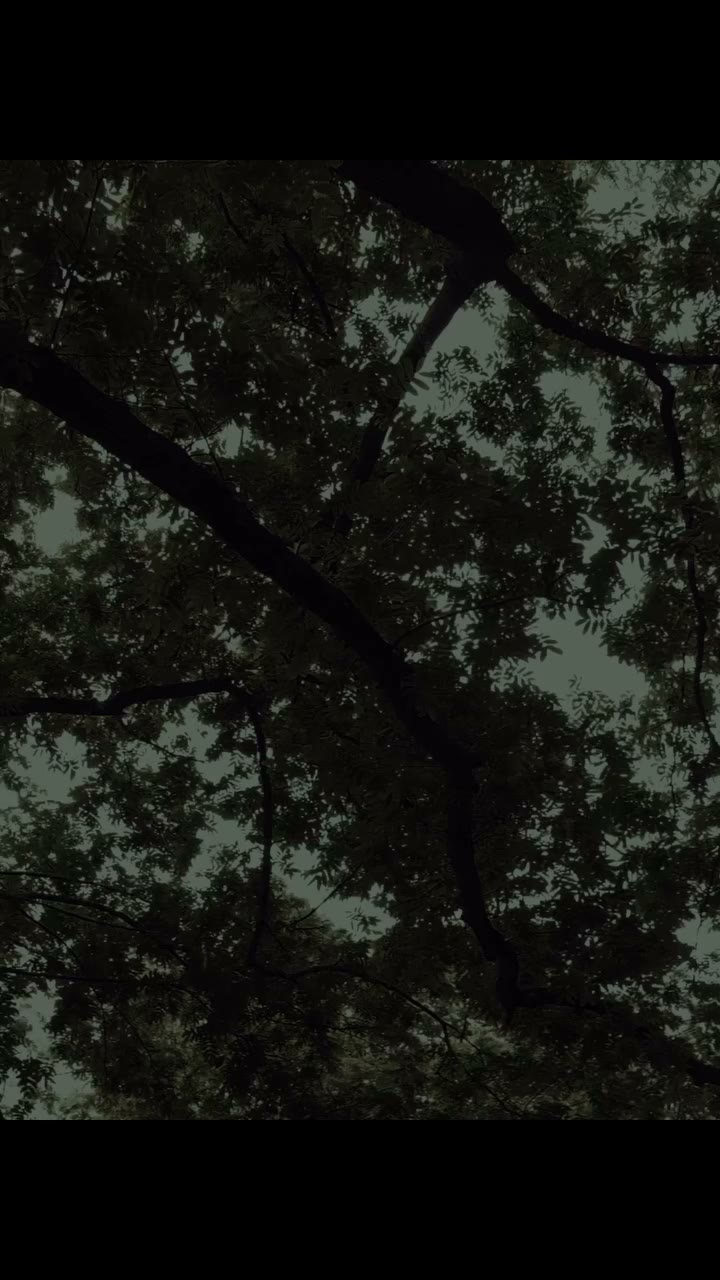 Breathe in the Woods Inspired by the breath of mountains and forests Extract…