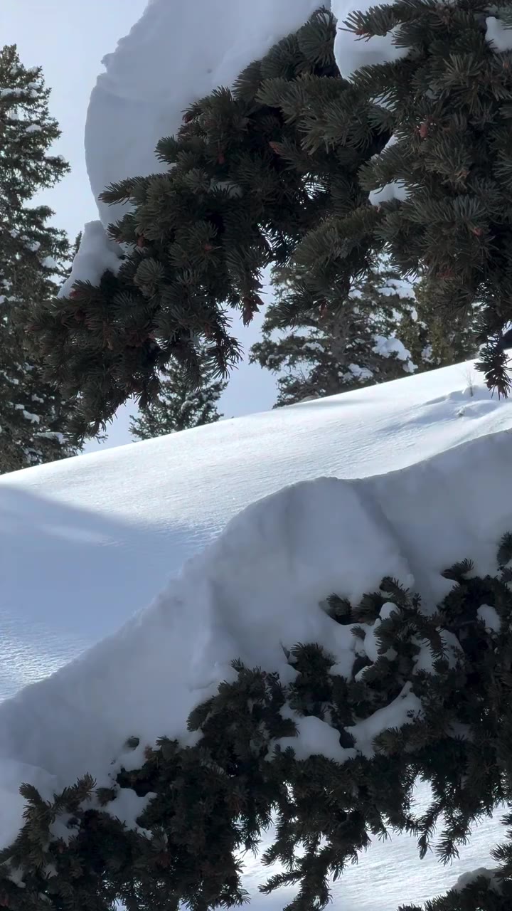 Name a better feeling… I’ll wait 🤷‍♂️ @mitchydavern leaning into one at…