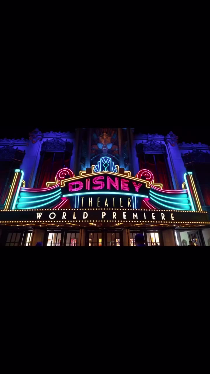 Your Disney view: the castle, the rides, the fireworks ✨ My Disney view…