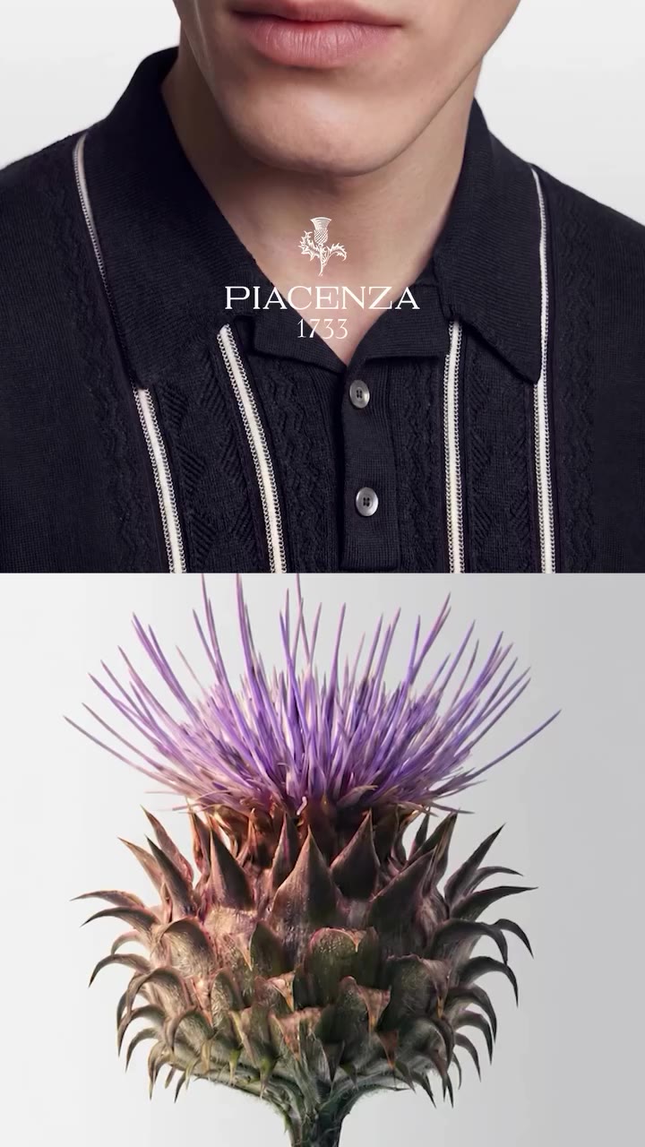Thistle (Cynara Cardunculus). A botanical marvel with a rich legacy, the…