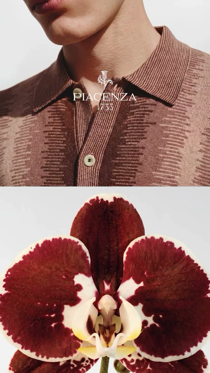 The Moth Orchid (Phalaenopsis Orchid) mimics the beautiful imperfection of…