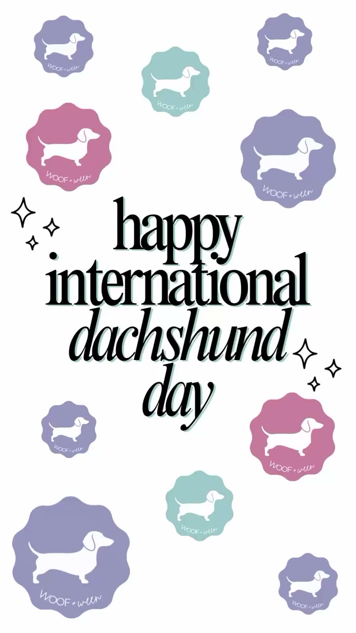 happy international dachshund day! 🌭 from your wiener dog obsessed besties 🤭…