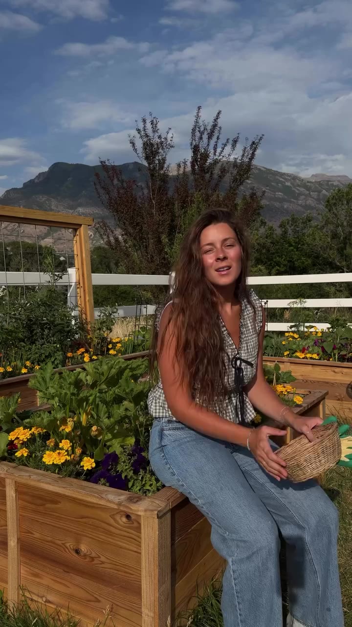 A bit of a garden harvest before I leave her to camp for 11 days🪷🌷🌻🥒🥕🥬🫜…