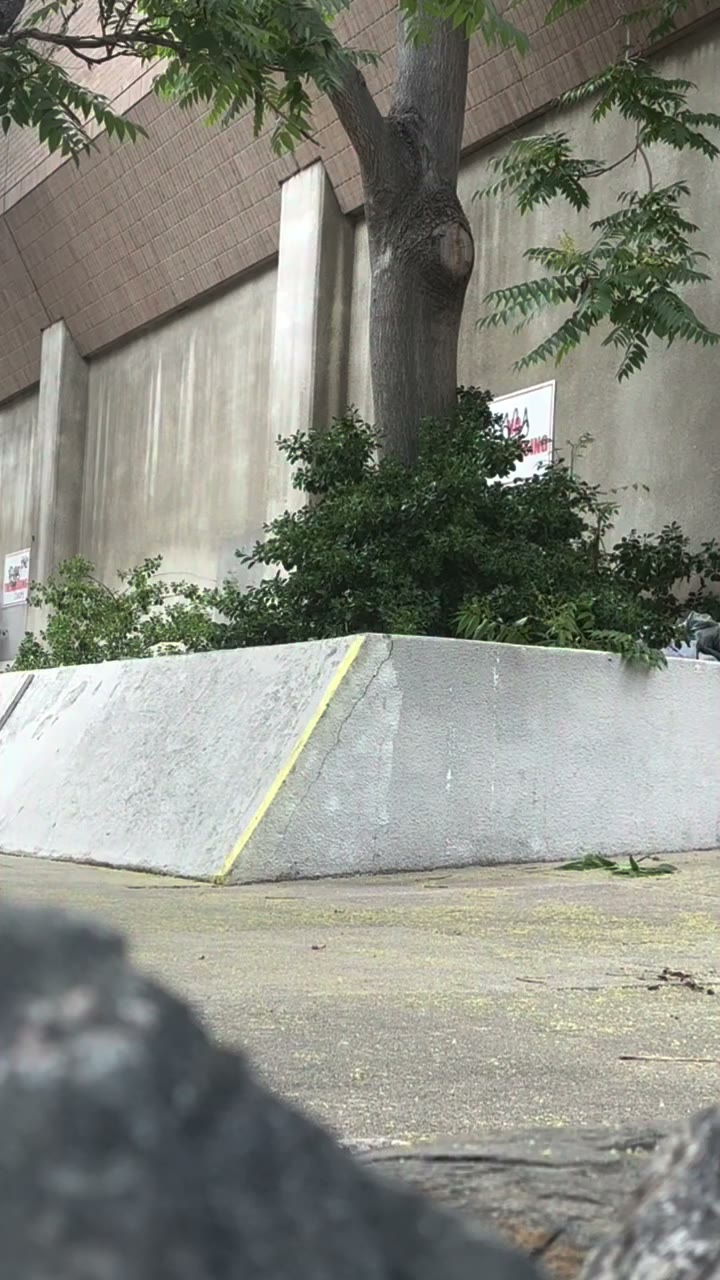 Denver is not boring @303boards @emerica