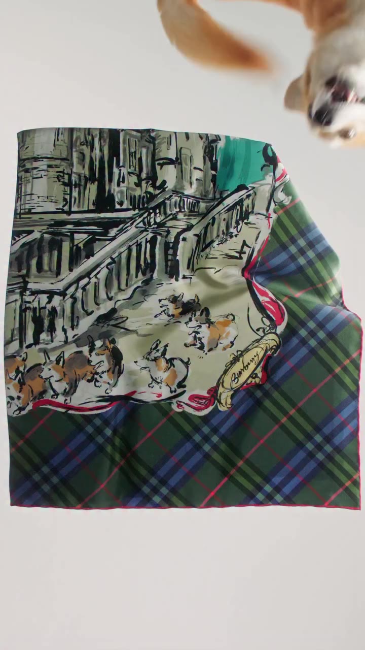 Spotted by a very discerning guest 🐾 The Royal Collection Trust x Burberry…