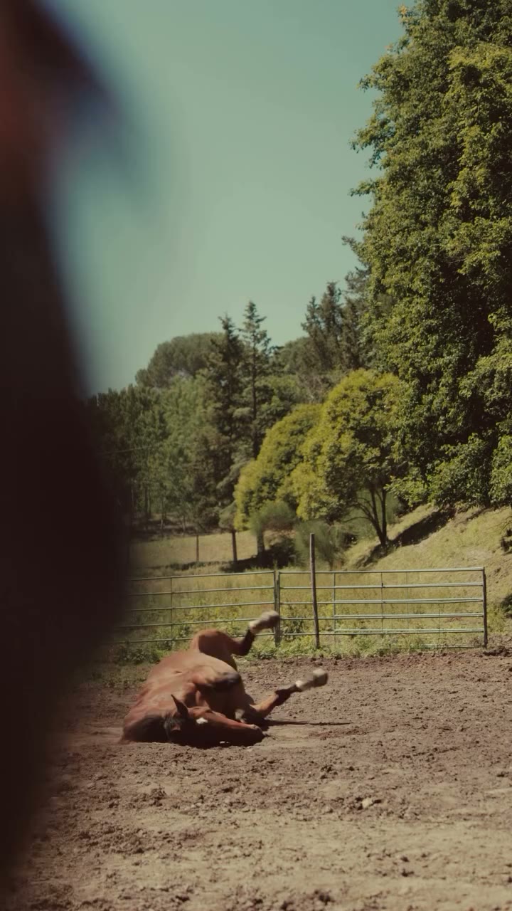 Rooted in the landscapes that have always inspired Buttero. The Baio boot…