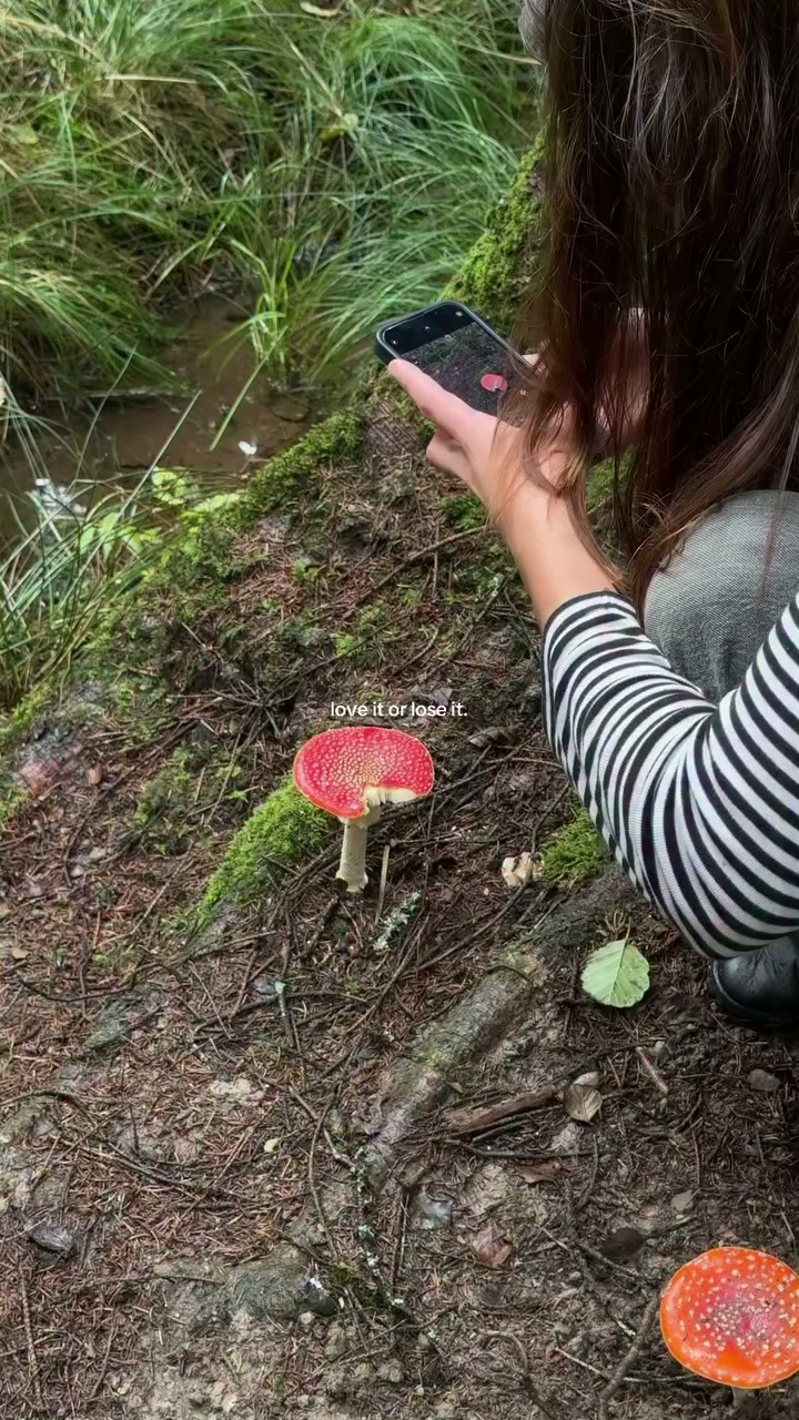 an important reminder 🌱🦆🫂 Nature, birds, wildlife