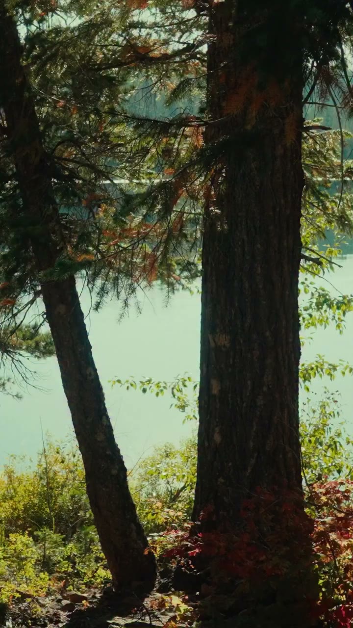 Camping lets us slow down and take time to enjoy simple moments, like brewing…