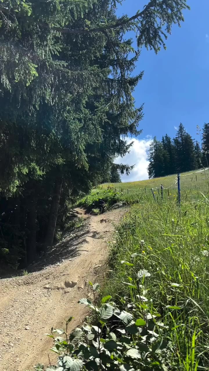 Saturday flow @bikeparkschladming … ☀️💖 • • 🎥: @nid_no_ah_enn @vinny_mtb •…