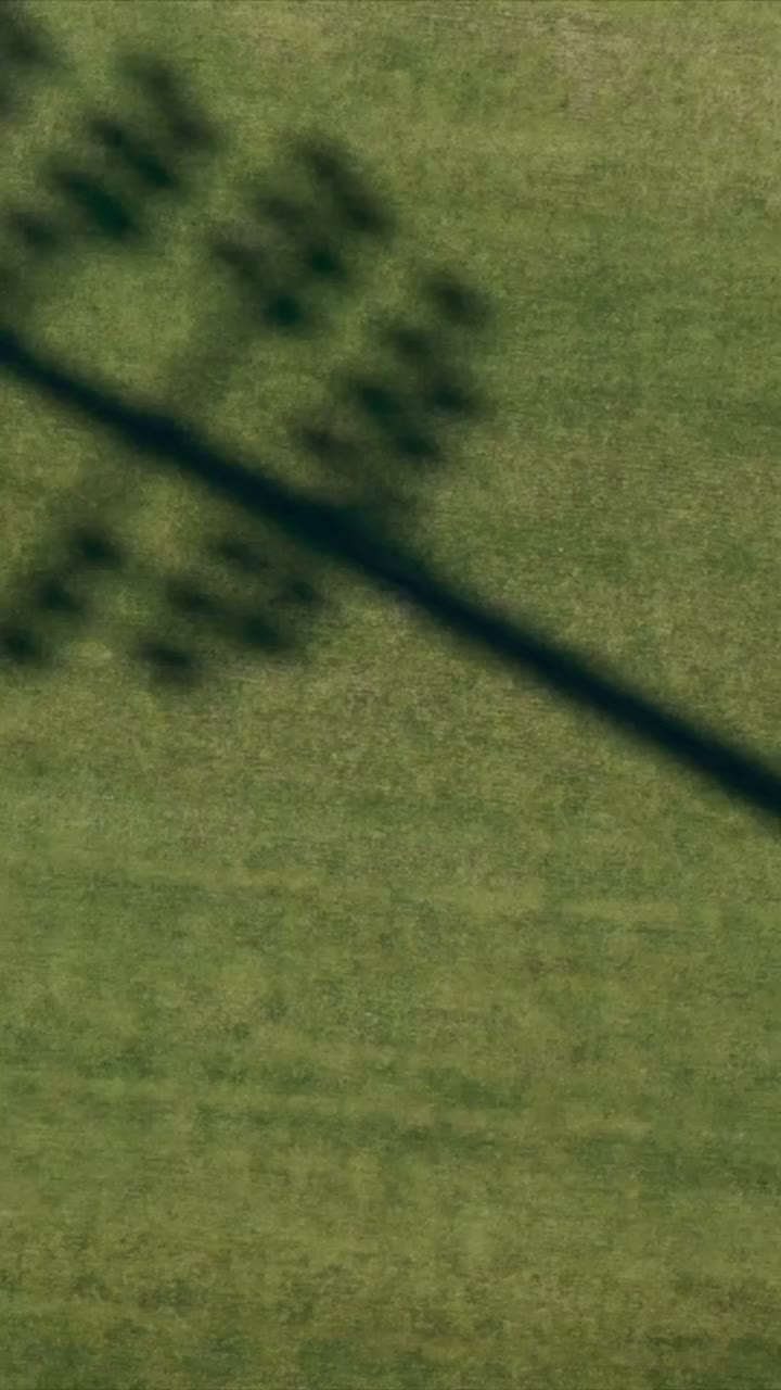 Women’s cricket has well and truly taken over. 🏏 This summer, more eyes have…