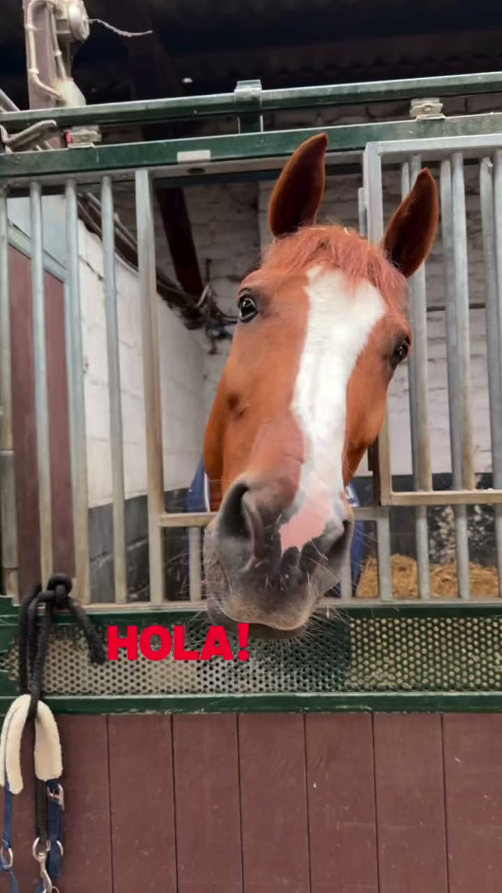 hero x aquí otra vez… 🙊👋🏻🦦🧡