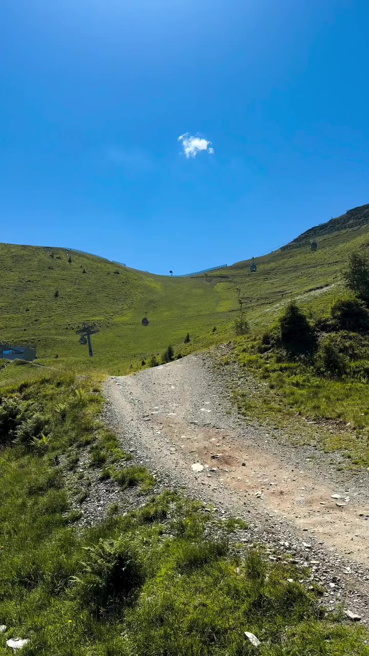 Day out with the new Firebird! 💚☀️ • • • #downhillmtb #downhillgirl…