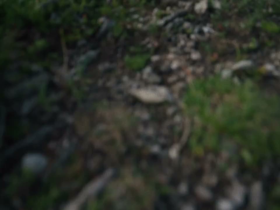 Every trail asks a different question. How you answer it matters. 🏔️ From…