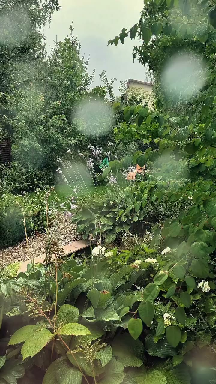 Niech sobie pada. 🌧️ Nie każda niedziela musi być słoneczna. Nie każda musi…