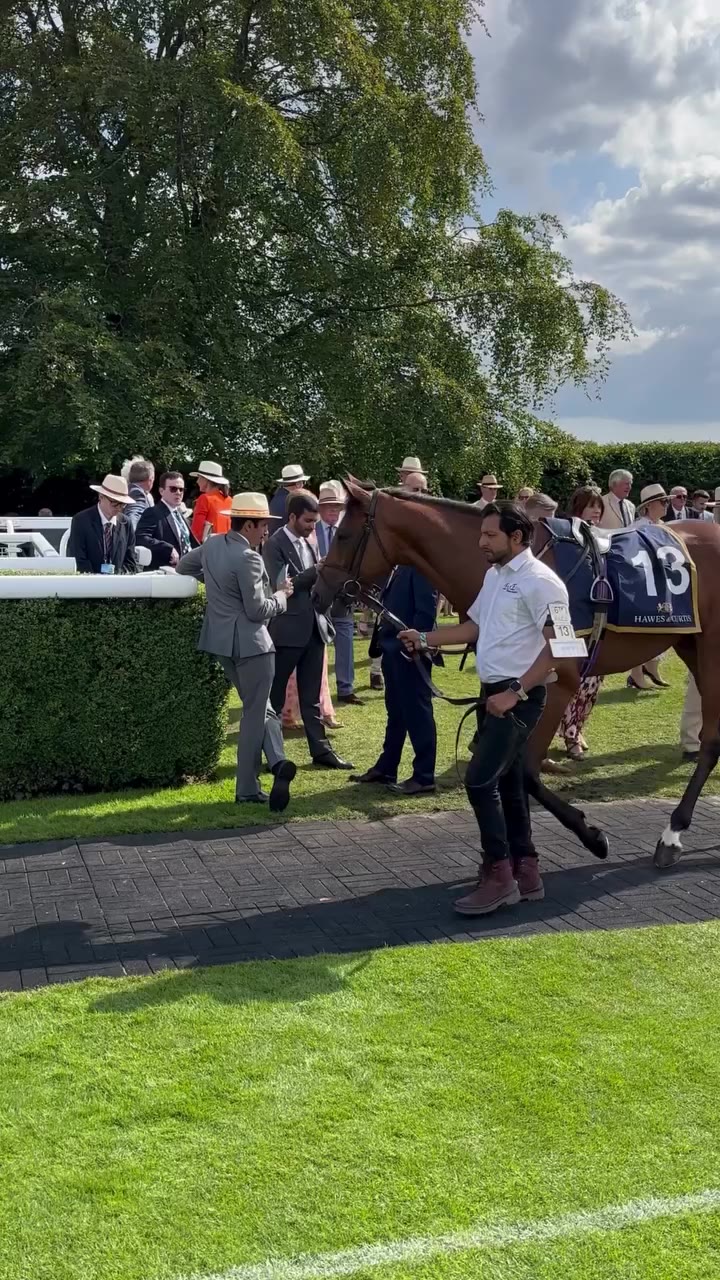 Are you Glorious Goodwood ready? 🏇 Whether you’re heading to the Qatar…
