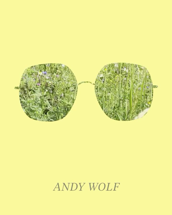 One of our new sunnies - which style is hiding in our wildflower meadow? 😎