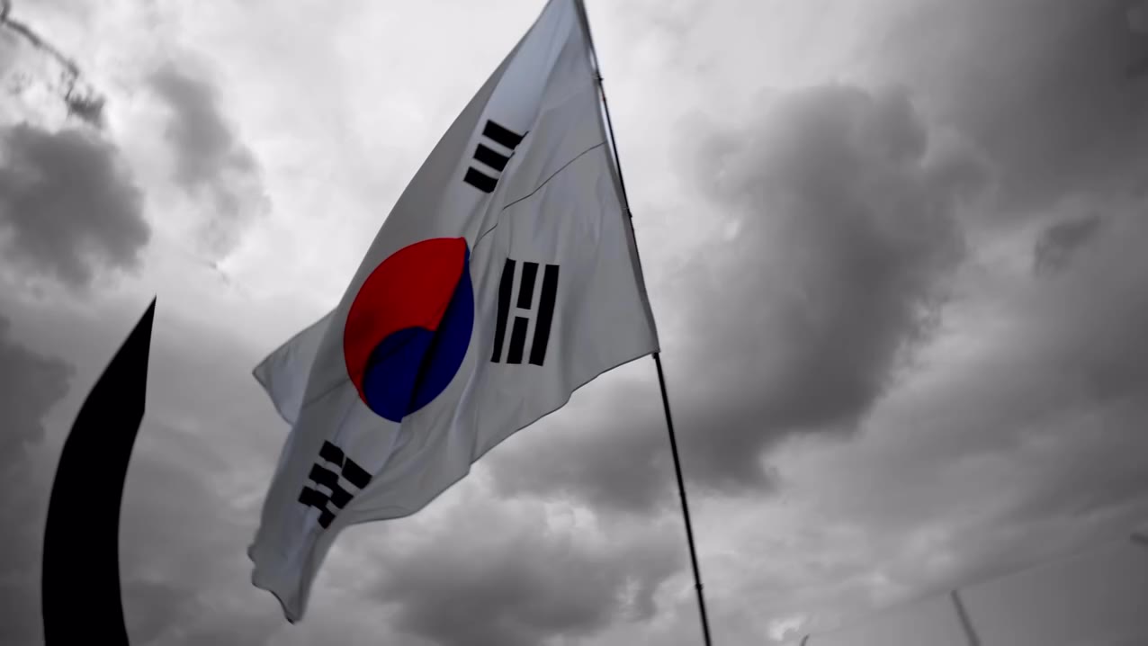 “Freedom is not free “ #자유 #올공 #올림픽공원 #부정선거 #광복절