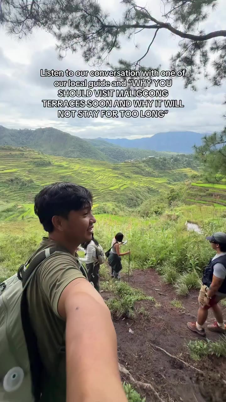 The Maligcong Rice Terraces in Bontoc are facing a major generational crisis…