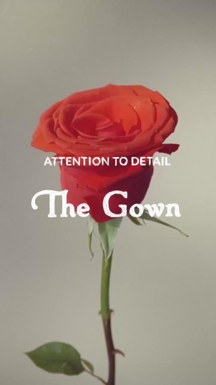 Attention to Detail: The Gown A hundred years is a long time to do anything…