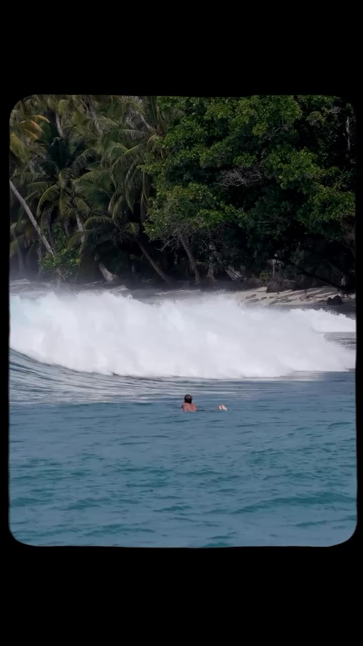 Tropical surf @driftwoodmentawai . @aft_surf Shot by 📹: @o1iwan