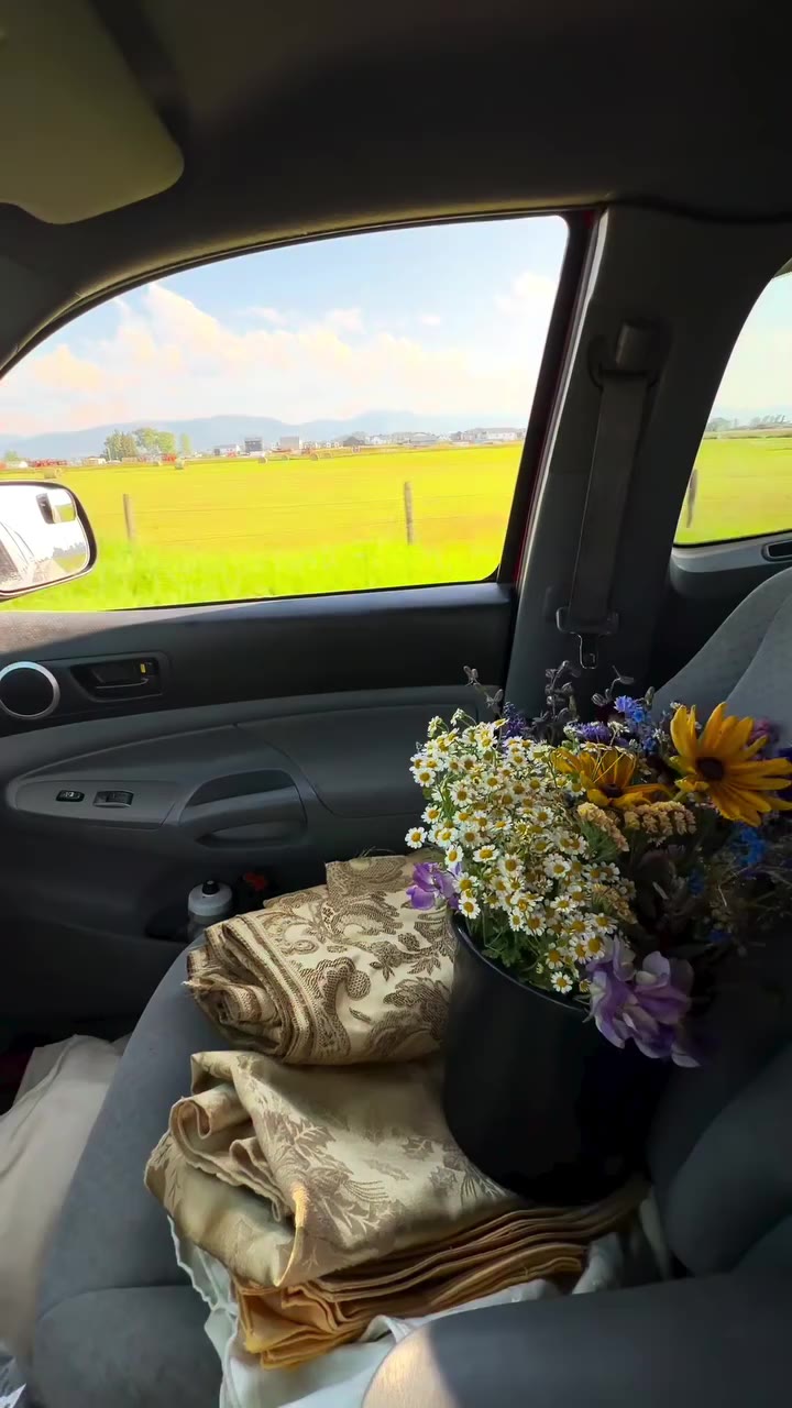 Summer passenger princess 💐
